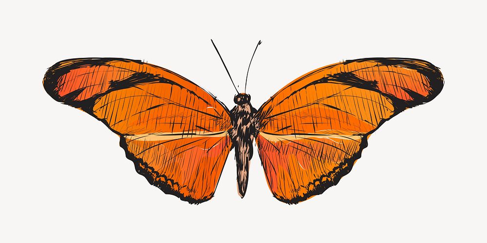 Orange Julia butterfly animal illustration vector