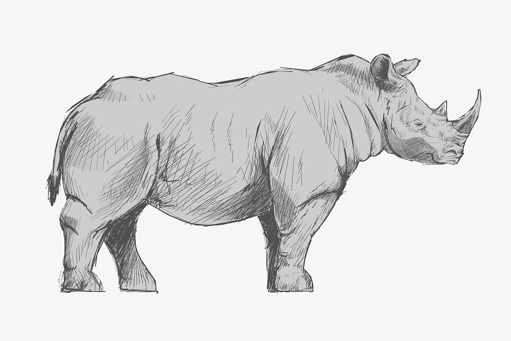 Gray Rhinoceros sketch animal illustration psd