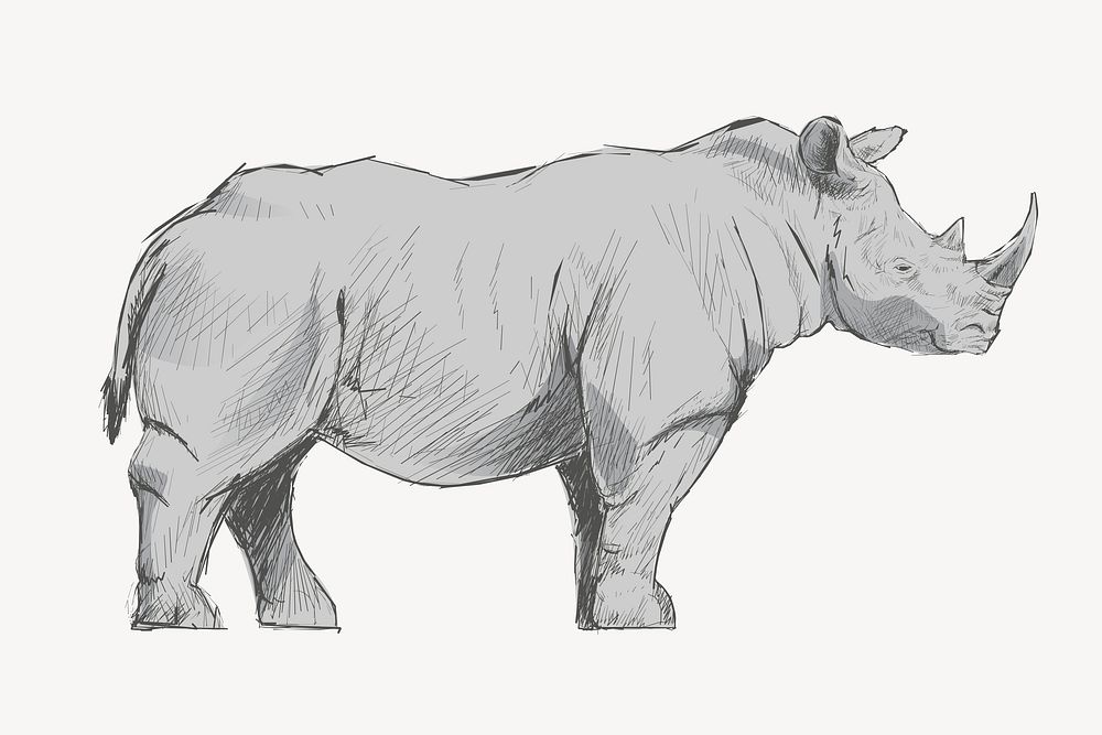 Gray Rhinoceros animal illustration vector