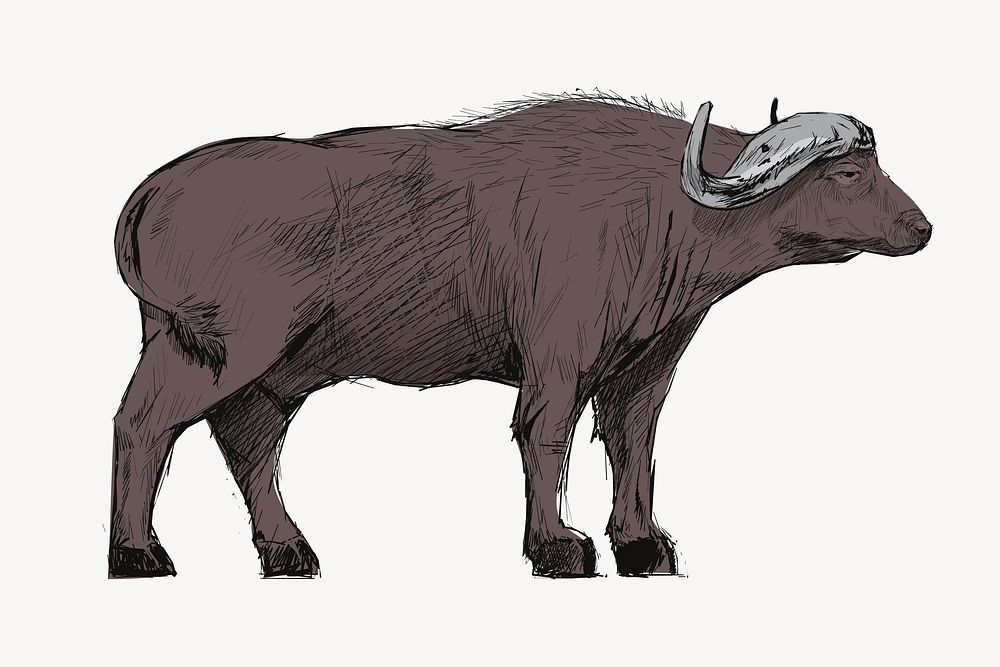 Gray buffalo animal illustration vector