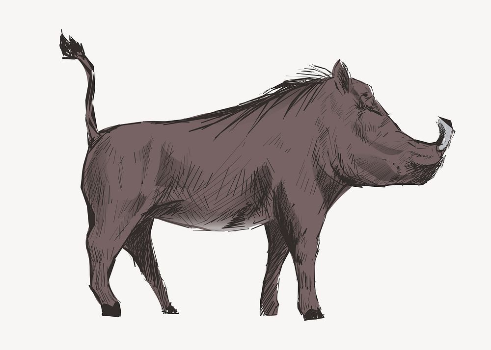 Wild warthog animal illustration vector