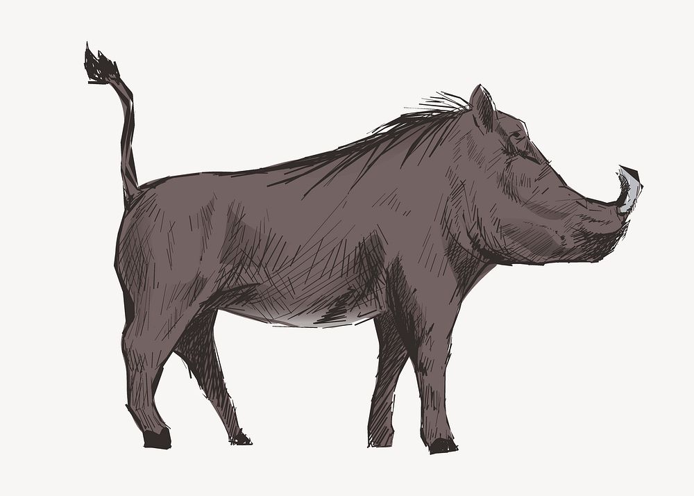 Wild warthog sketch animal illustration psd