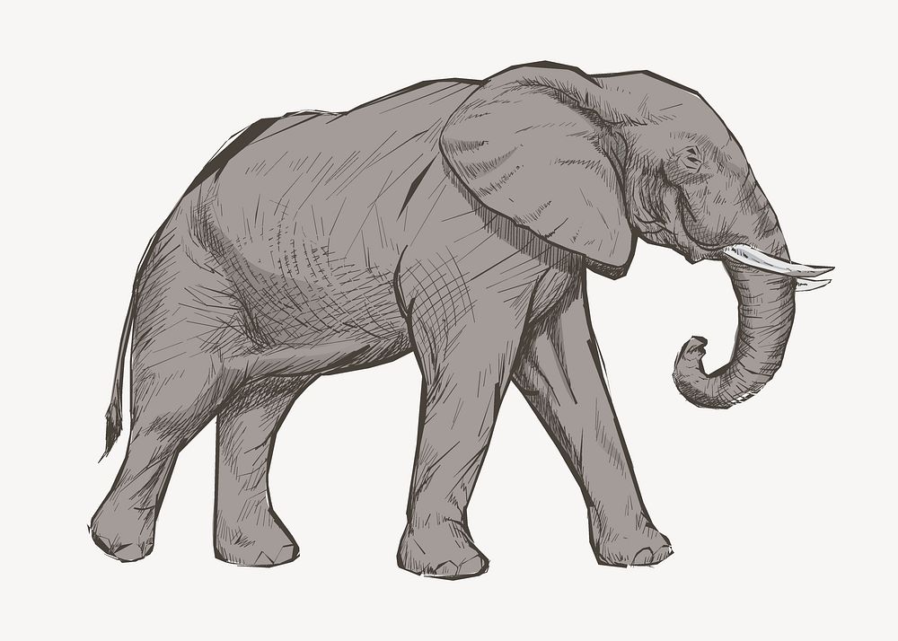 Gray elephant sketch animal illustration psd