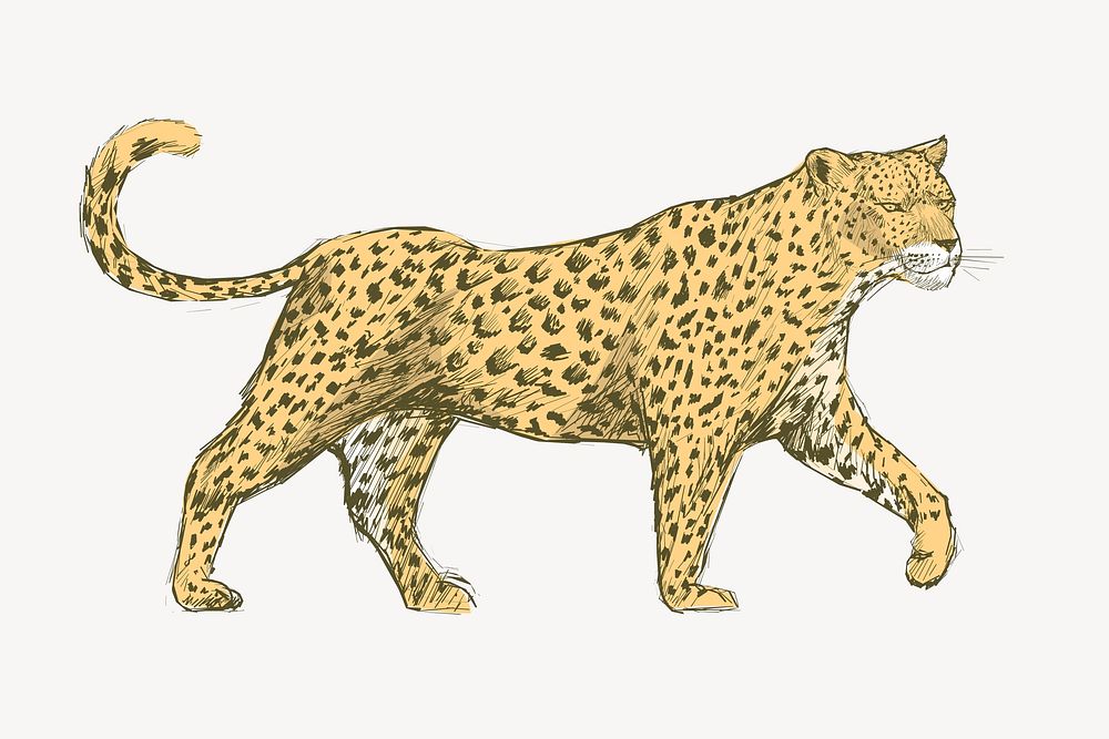 Yellow leopard animal illustration vector