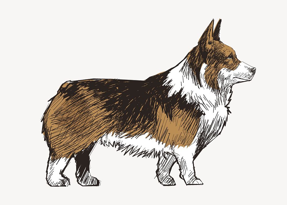 Welsh Corgi dog sketch animal illustration psd