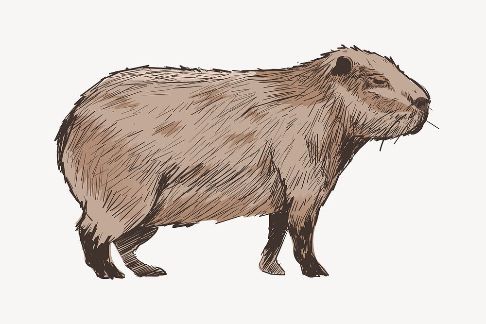 Cute Capybara sketch animal illustration psd