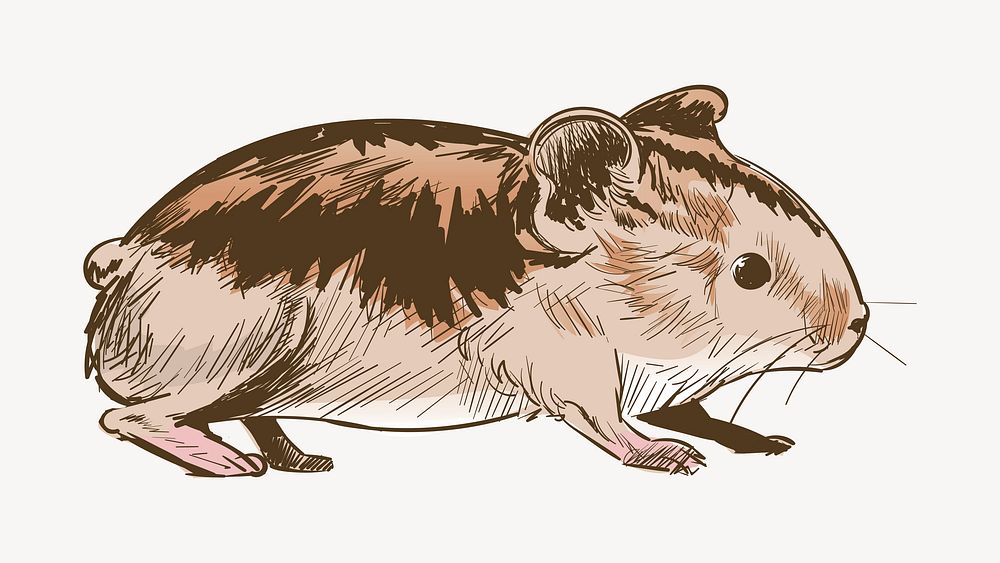 Guinea pig animal illustration vector