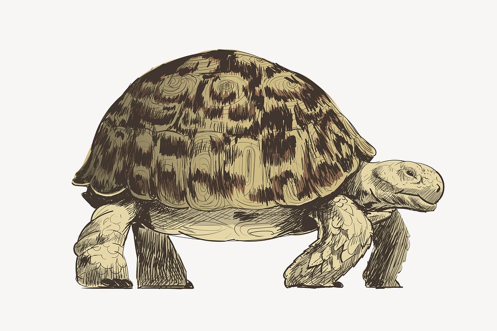 Big turtle animal illustration vector