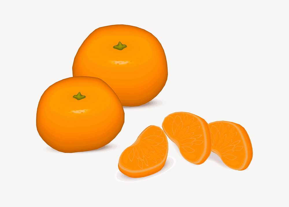 Orange fruit illustration psd. Free public domain CC0 image.