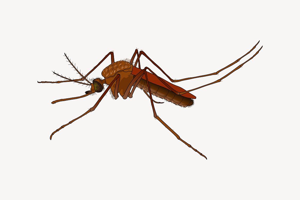 Mosquito clipart illustration vector. Free public domain CC0 image.