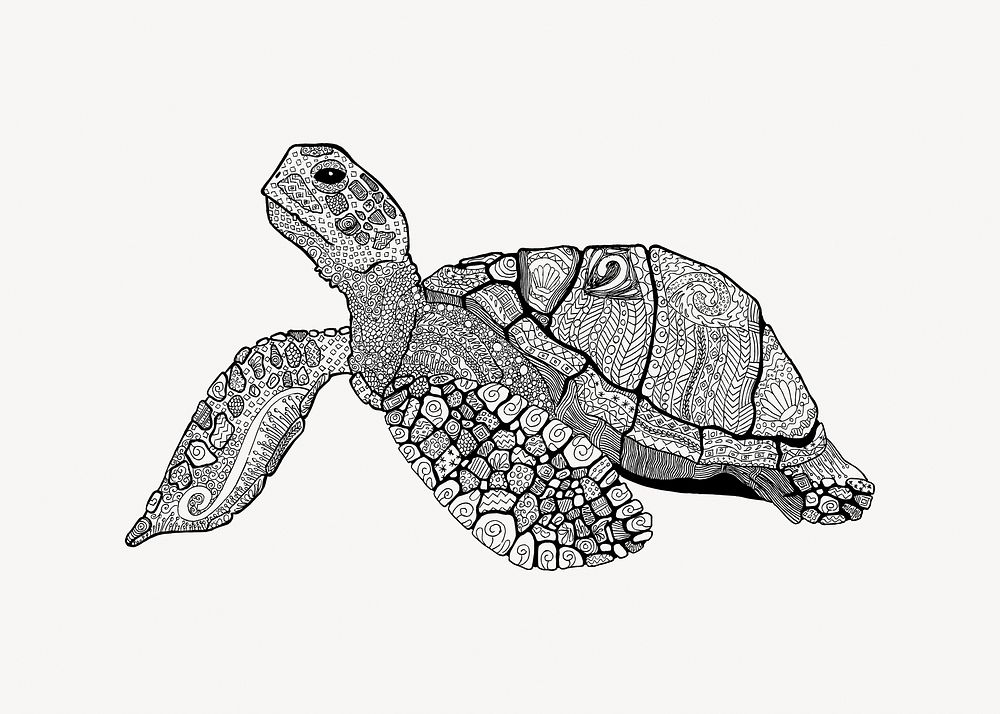 Sea turtle illustration vector. Free public domain CC0 image.