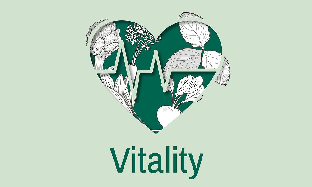 Balance Health Living Lifestyle Vatality Wellness