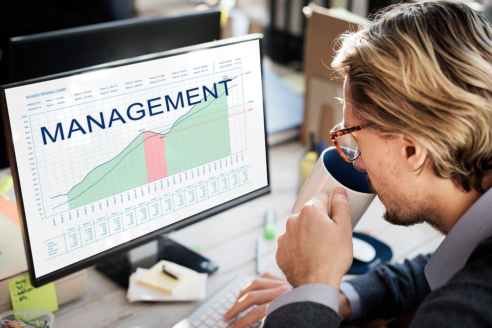 Management Analysis Graphs Business Marketing Goals concept