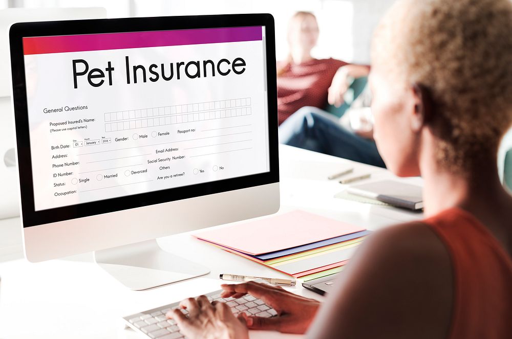Pet Insurance Owner Puppy Safety Policy Animal Concept
