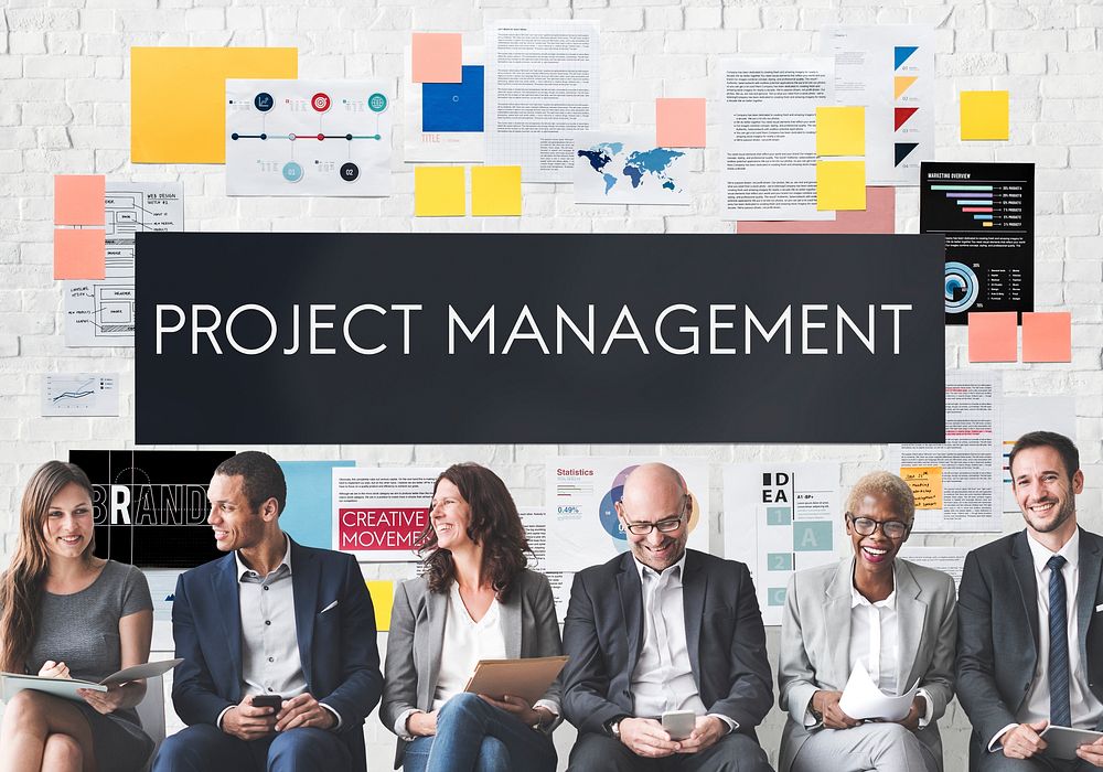 Project Management Organization Skill Concept