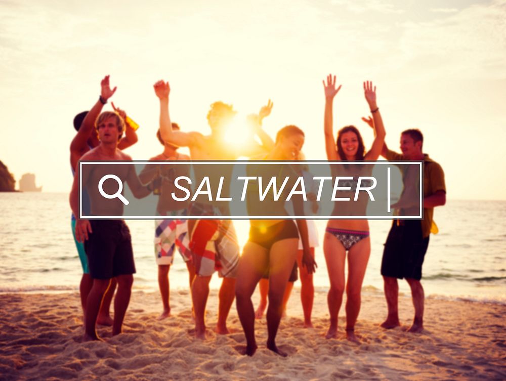 Saltwater Sea Ocean Beach Holiday Vacation Leisure Concept