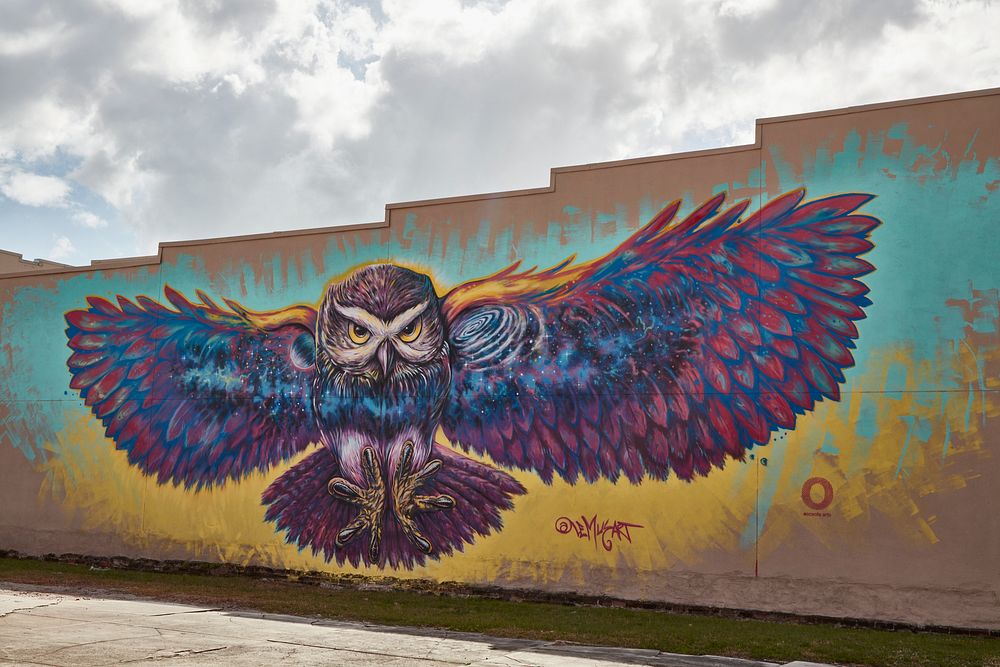                         German Lemus painted the colorful "Cosmic Owl"  mural, one of several art pieces in downtown…
