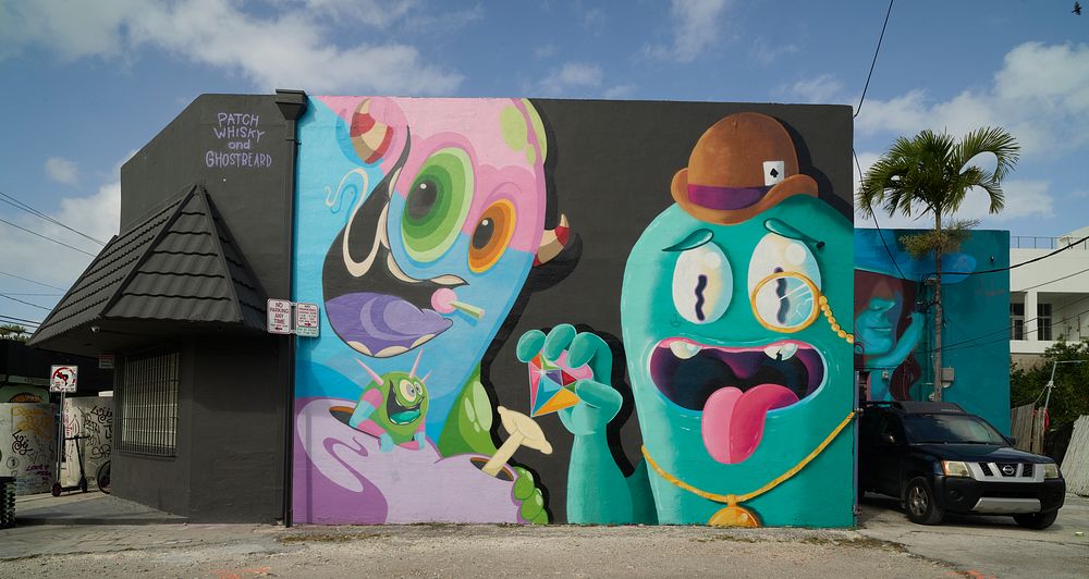                         Colorful wall art in the Wynwood neighborhood of Miami, Florida, which Wikipedia calls "one of the…