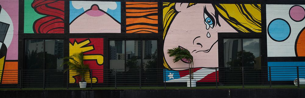                         Colorful wall art in the Wynwood neighborhood of Miami, Florida, which Wikipedia calls "one of the…