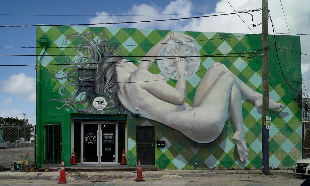                         Colorful wall art in the Wynwood neighborhood of Miami, Florida, which Wikipedia calls "one of the…