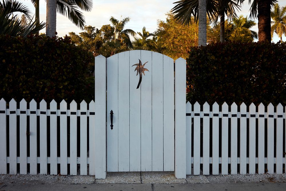                         A gate inset gives a preview of the row of palms inside a yard in Naples, Florida                   …