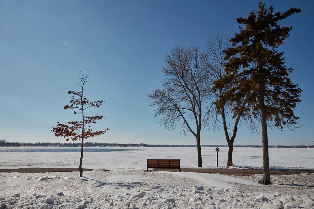                         Bench along frozen Lake Okabena in Worthington, a small Minnesota city near the Iowa border         …