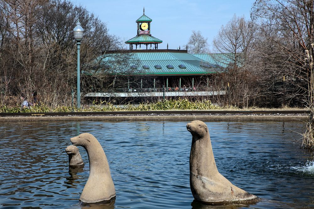                         Sea-lion sculptures in a pond at the St. Louis Zoo, sometimes called "America's Top Free Attraction"…
