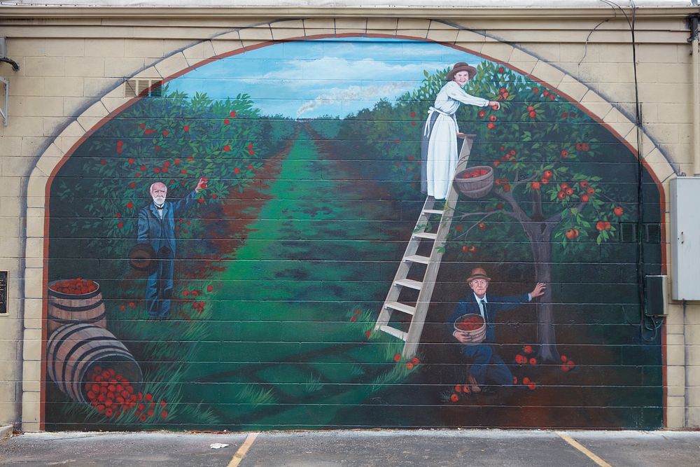                         One of two "Apples and Barrels" murals along the historic, mostly two-lane, U.S. Route 66 in Cuba…