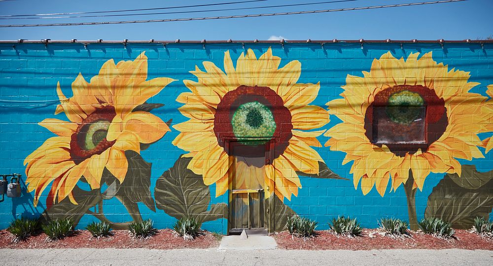                         Colorful art in the revitalized (as of 2021) North Topeka, colloquially NoTo, artsy neighborhood in…