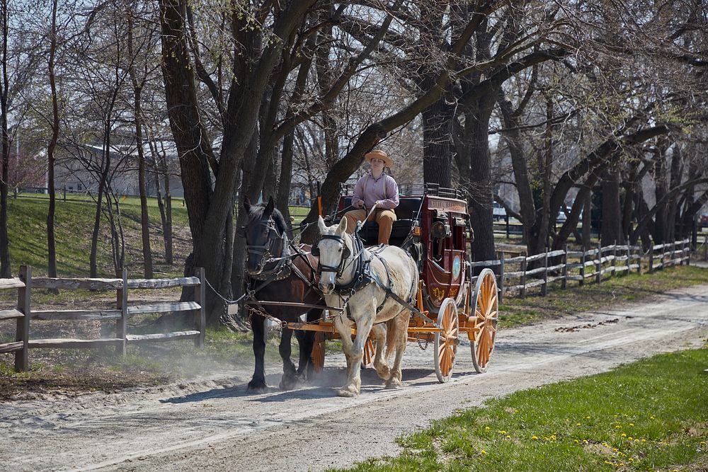                         Visitors get a ride at the Mahaffie Stagecoach Stop and Farm, in Olathe, one of the suburban cities…
