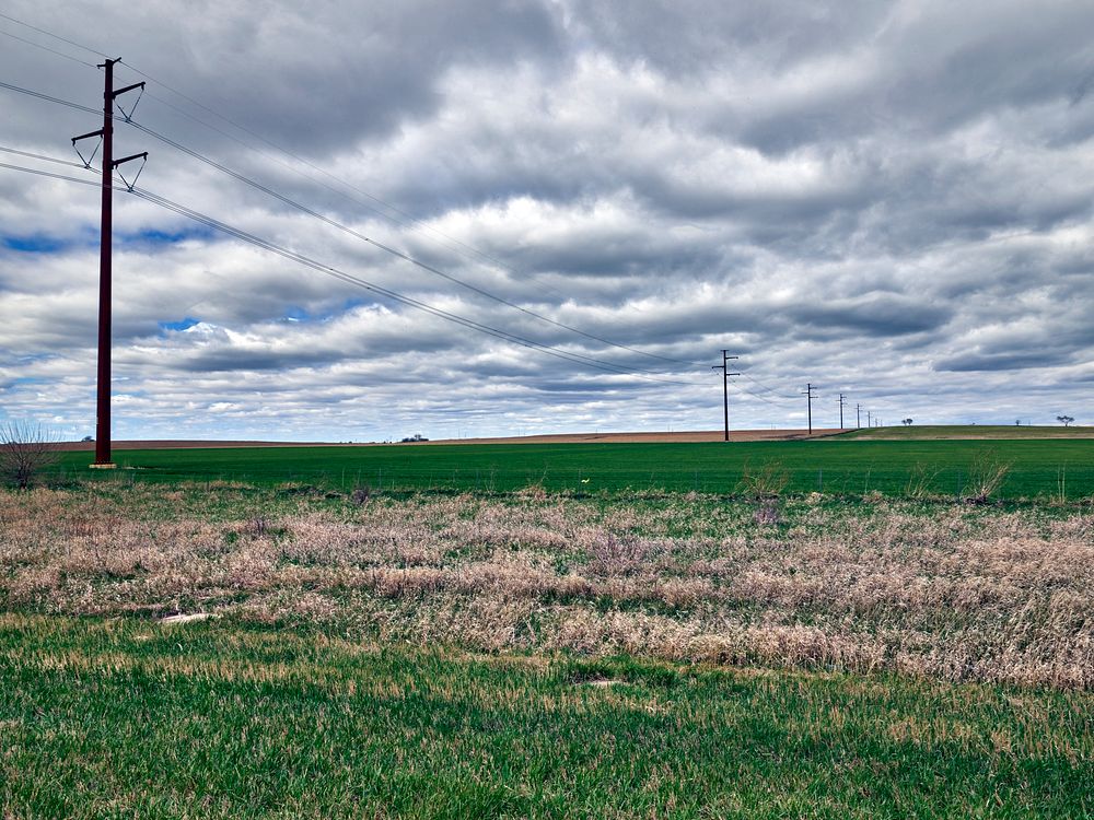                         A progression of power poles and grass colors near Chapman, Kansas                        