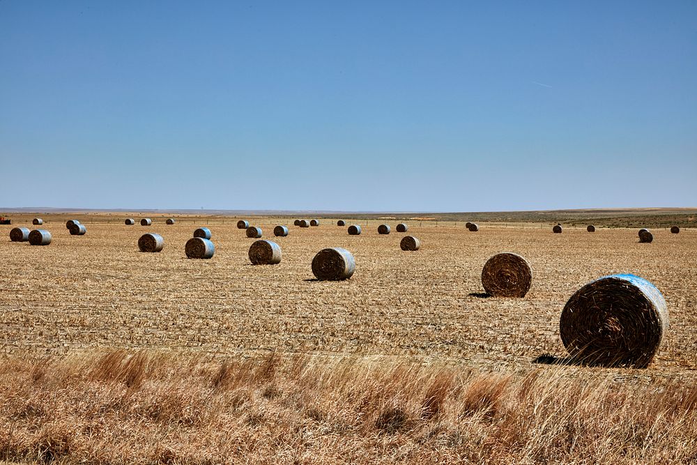                         An array of hay rolls seems neatly arranged across a farm field near the far-western Kansas town of…