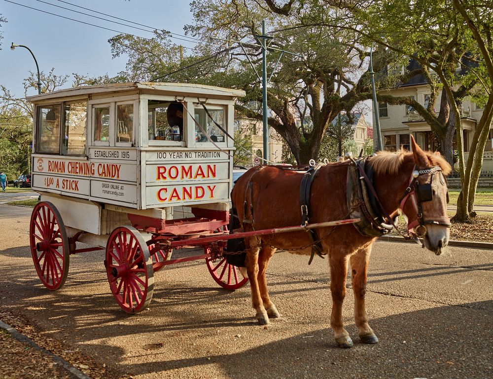                         Well into America's automobile era, this horse-drawn Roman Candy wagon remained a beloved symbol of…