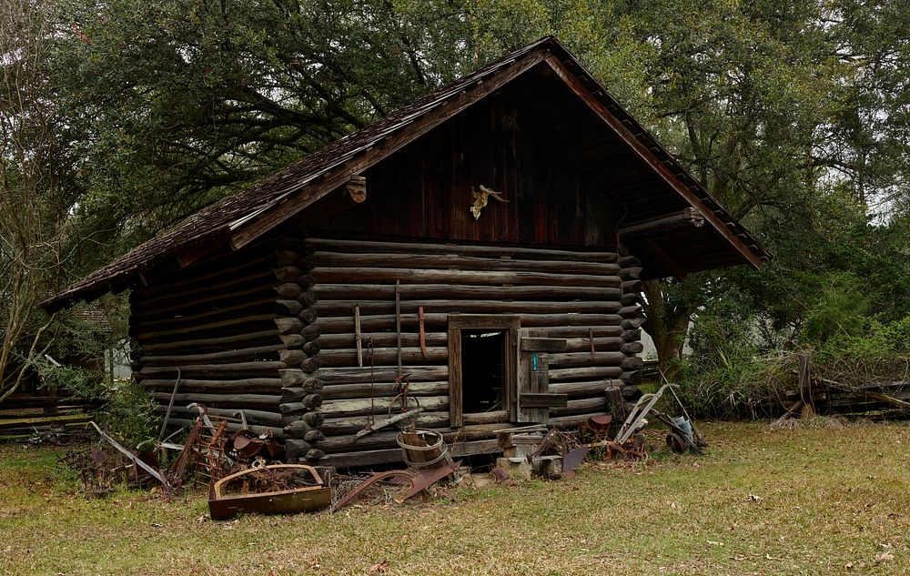                         One of dozens of early cabins and other rudimentary structures displayed at the LSU (Louisiana State…