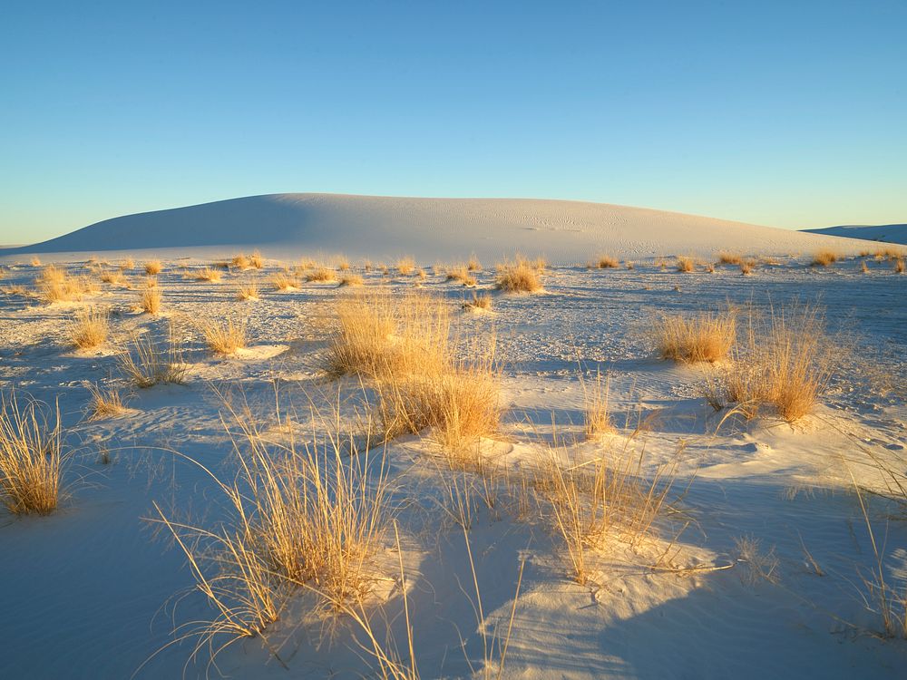                         Scene at White Sands National Park in southern New Mexico's Tularosa Basin                        