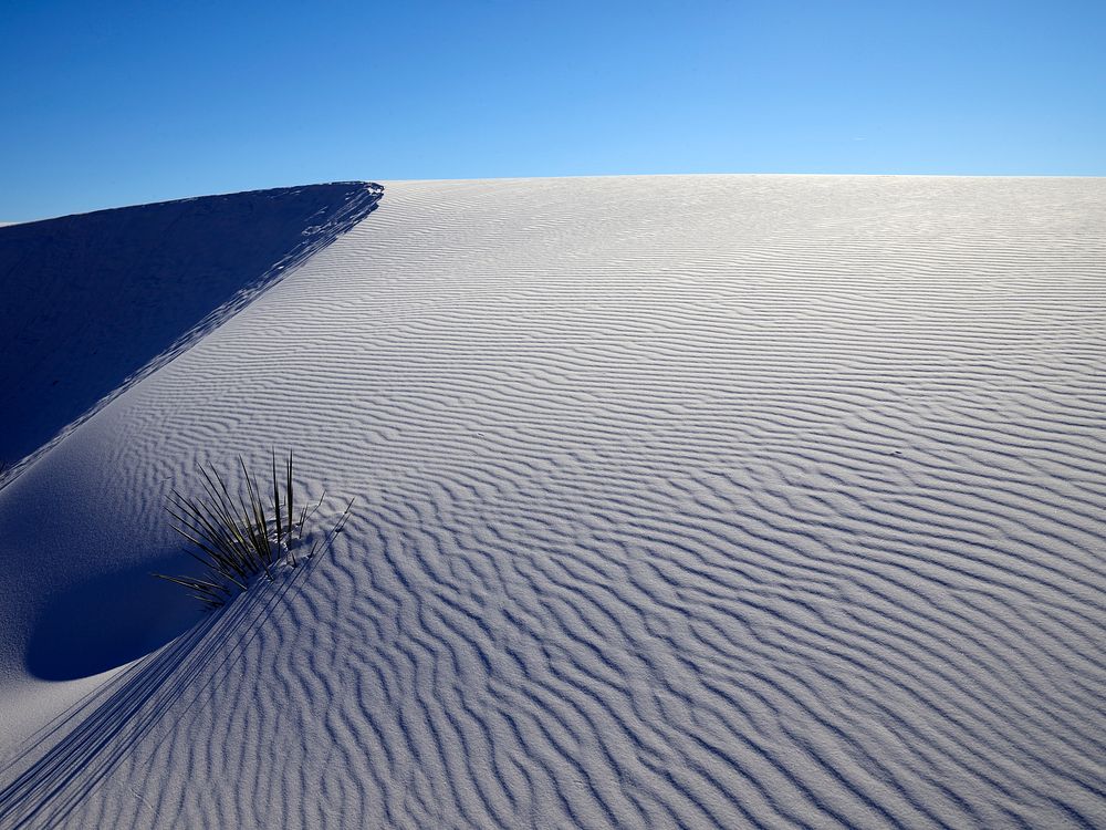                         The site's trademark rippling waves accent the experience at White Sands National Park in southern…