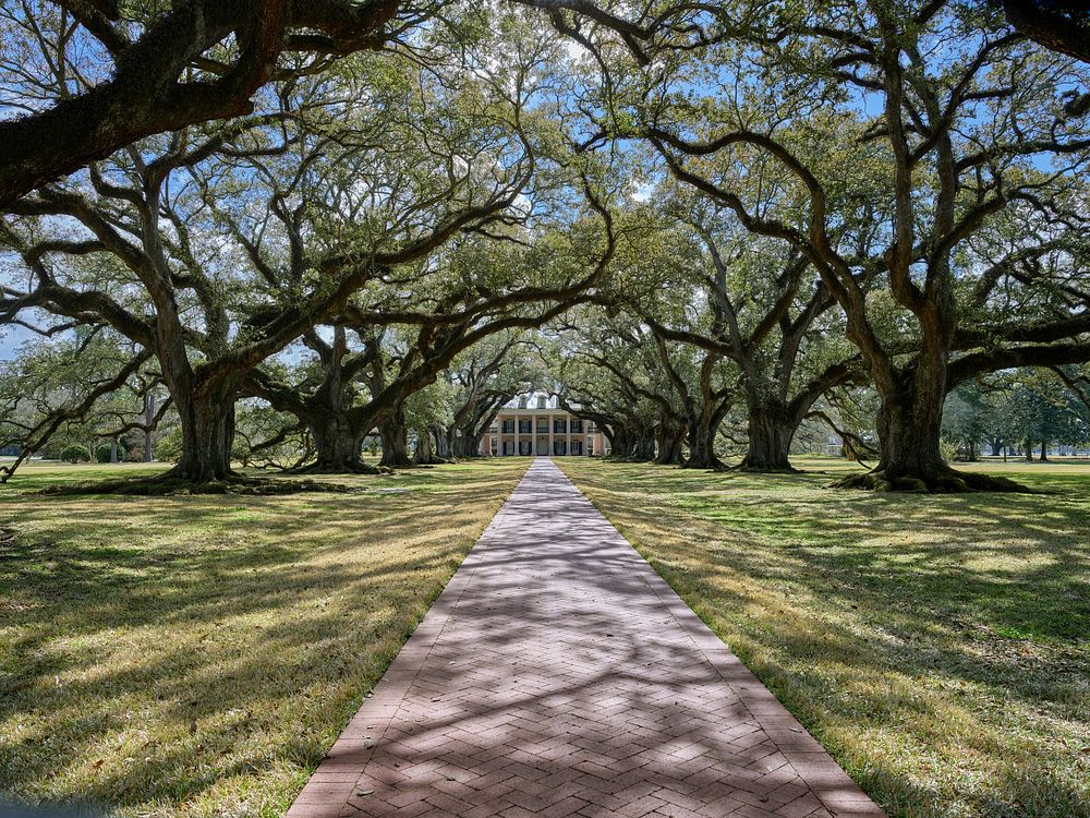                         A famous "allée," French for alley, of 28 live-oak trees leads to the Greek Revival-style manor…