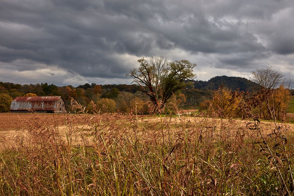                         An old barn hangs on in Sevier County, outside Sevierville, a small city midway between larger…