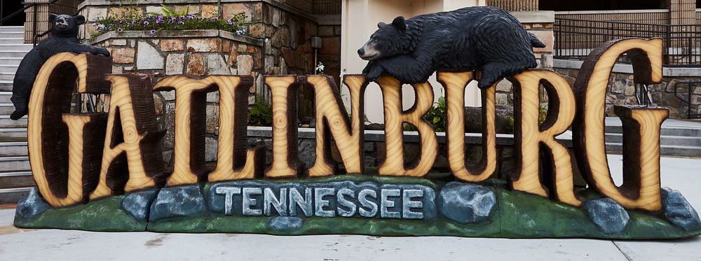                         Black bears are a selling point for Gatlinburg, a small city in southeast Tennessee known as the…