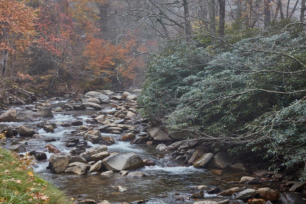                         Autumn view of the Little River in the Tennessee portion of Great Smoky Mountains National Park, the…