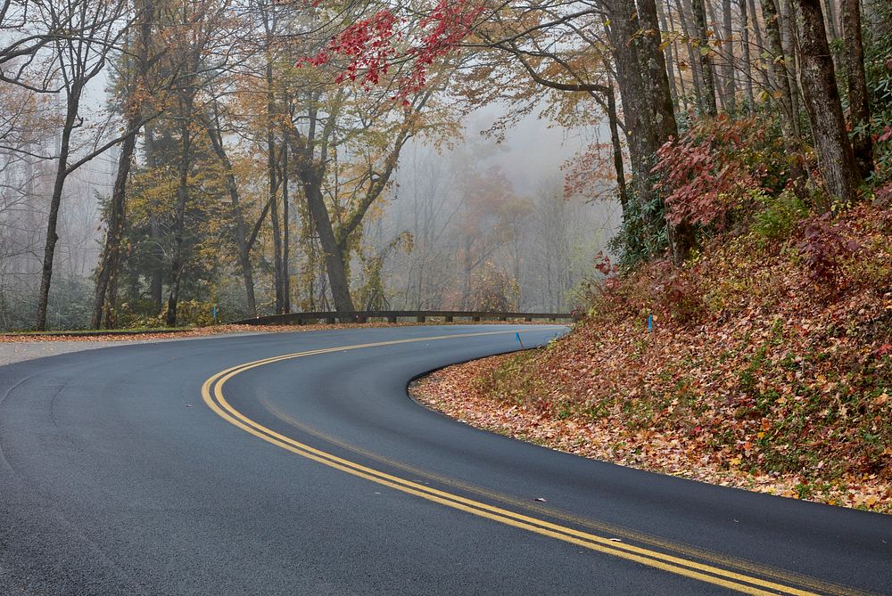                         Fog lurks around a sharp bend of the road within the Tennessee portion of Great Smoky Mountains…