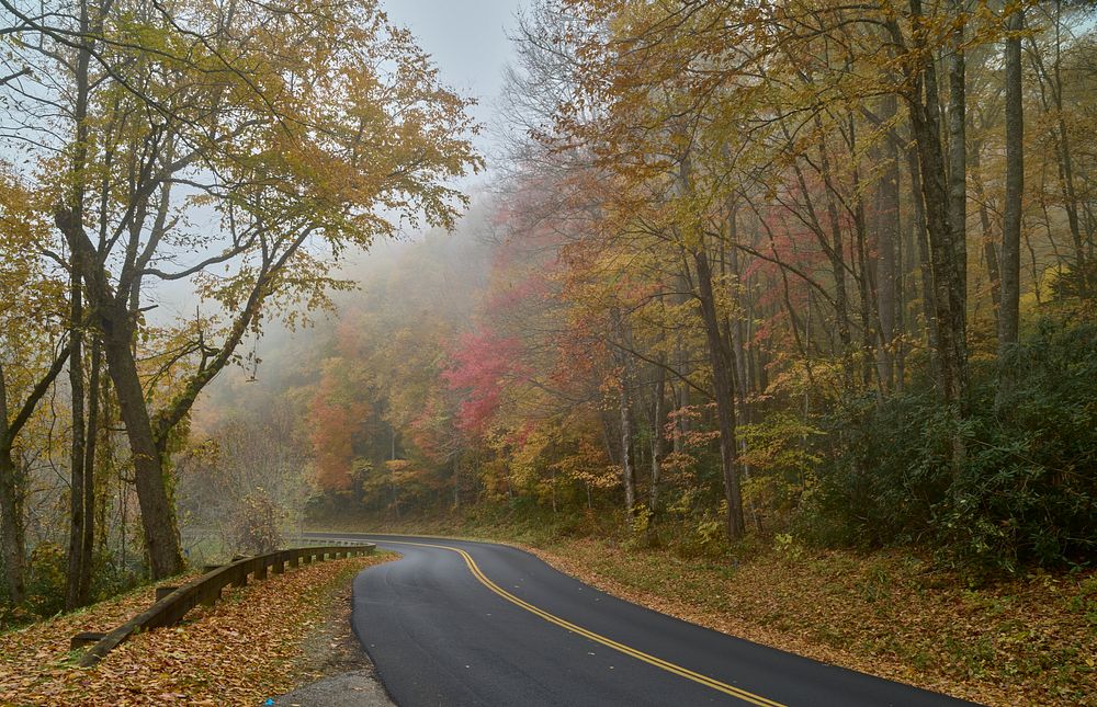                         Scene on a foggy morning along a winding two-lane road the Tennessee portion of Great Smoky…