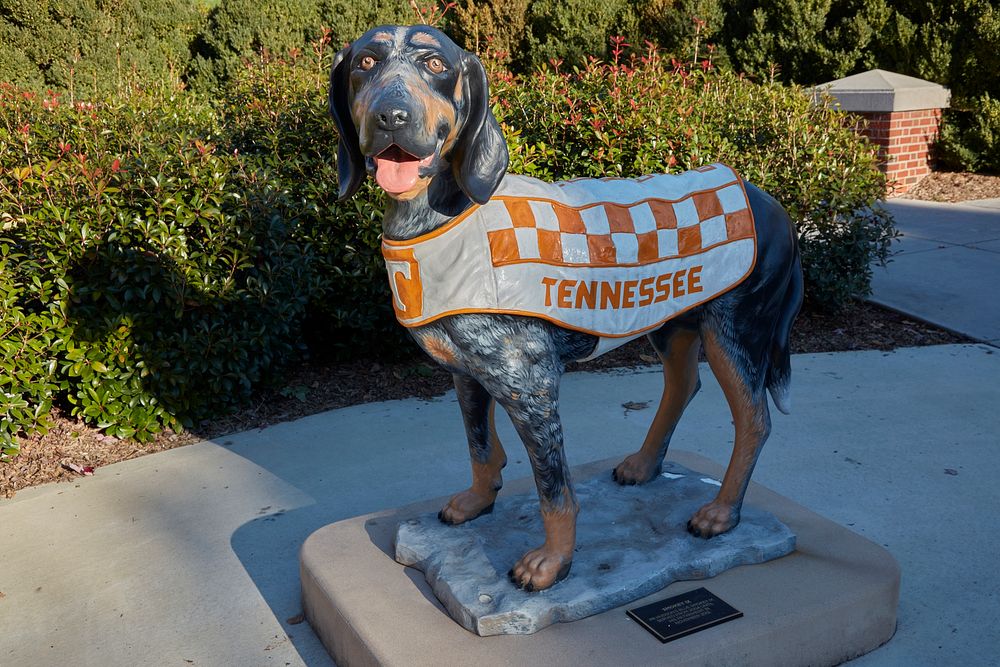                         A sculpture honoring Smokey X the dog, who served as a sports mascot on the sprawling campus of the…