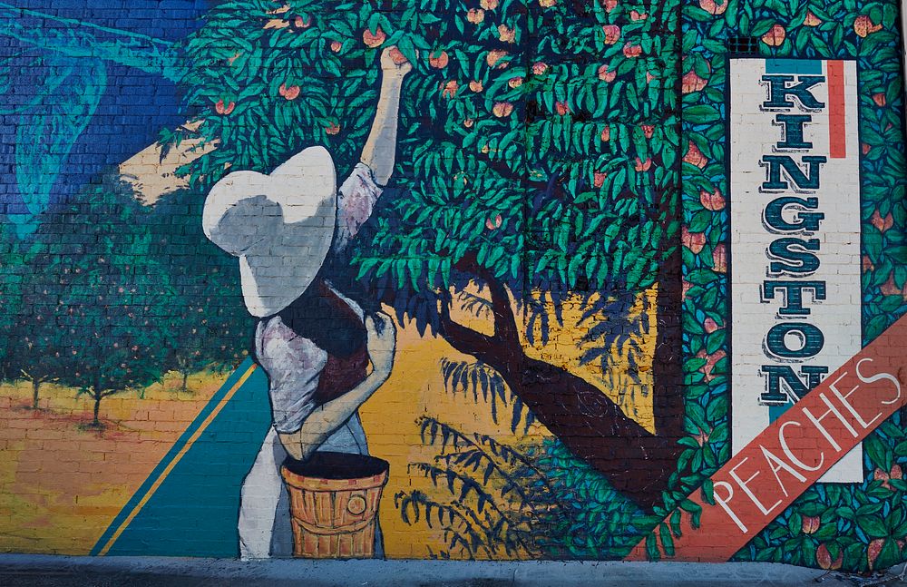                         An uncredited mural plugging the area's peach-growing industry in Kingston, Tennessee, a small city…