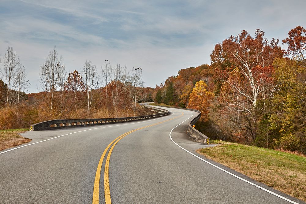                        Curves in the Natchez Trace Parkway near Hillsboro, Tennessee                        