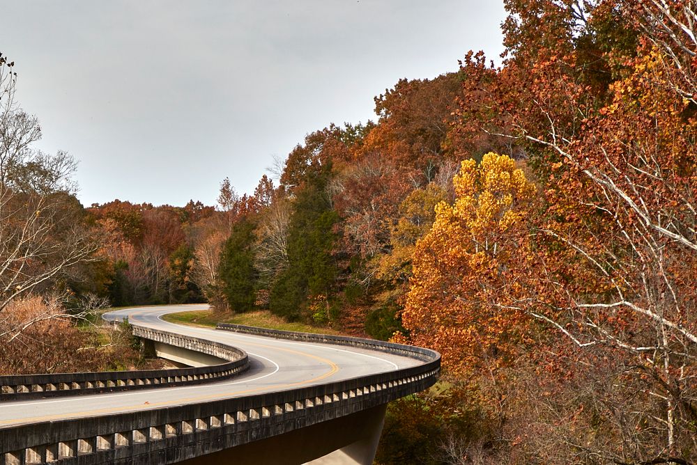                         A winding, elevated stretch of the Natchez Trace Parkway near Hillsboro, Tennessee                  …
