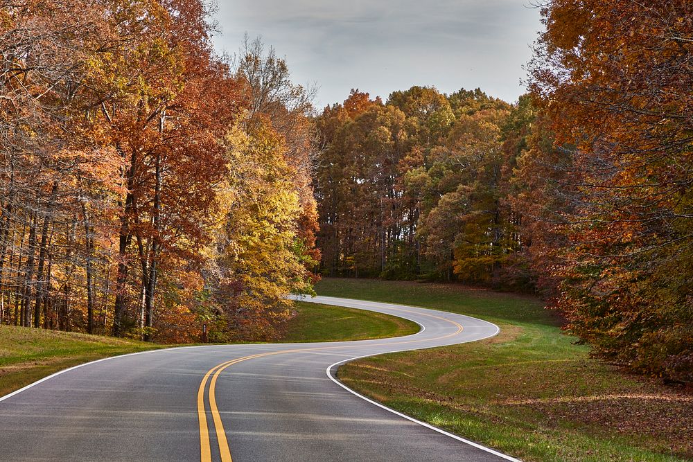                         Curves in the Natchez Trace Parkway near Hillsboro, Tennessee                        