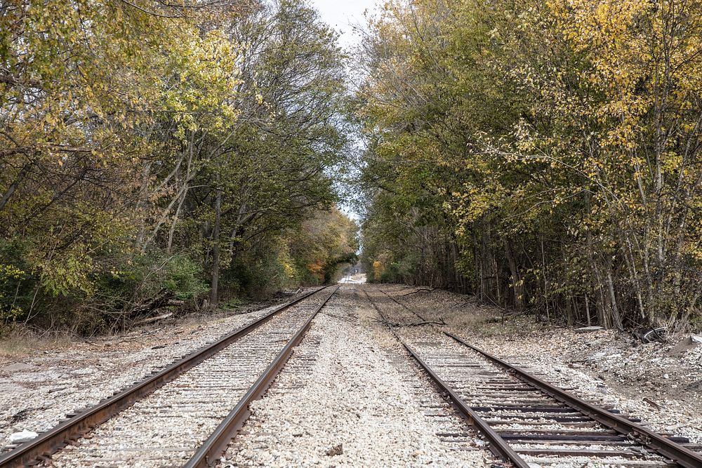                         Double railroad tracks head into a thicket near Mount Pleasant in Maury County, Tennessee           …