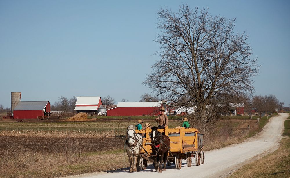                         An Amish man and three boys in a horse-drawn wagon pass in rural Missouri's "Amish County," near the…