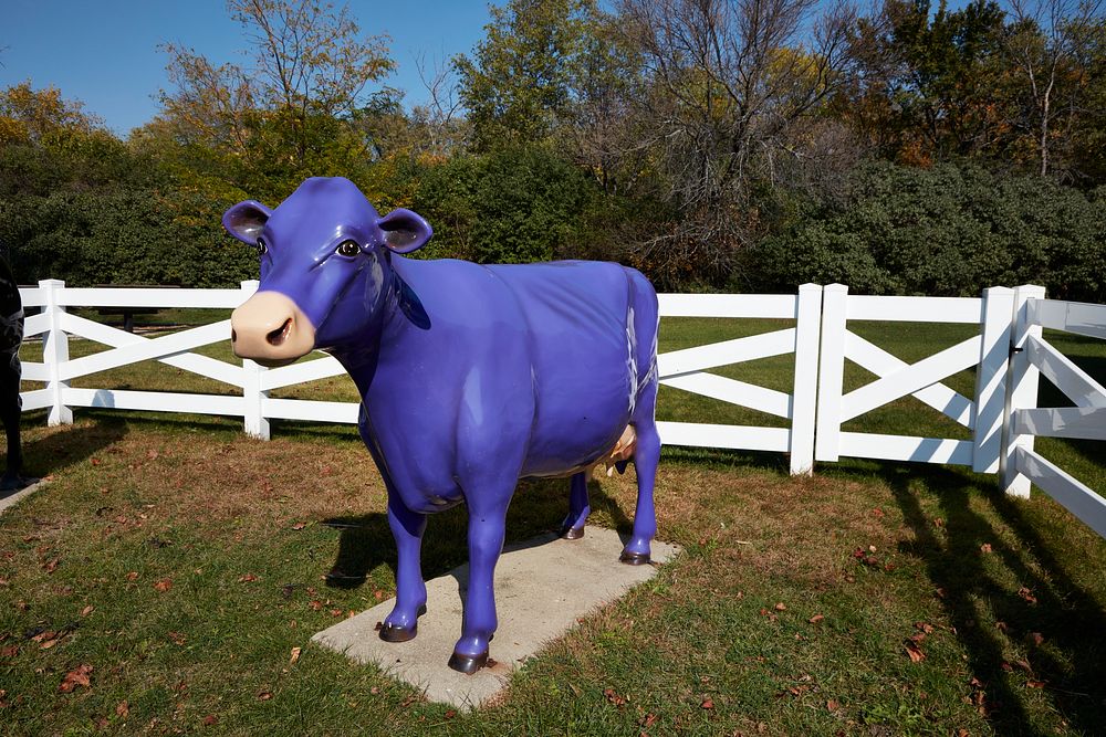                         Figure of a purple cow at Storybook Land, a family attraction in Aberdeen, a small city in northeast…